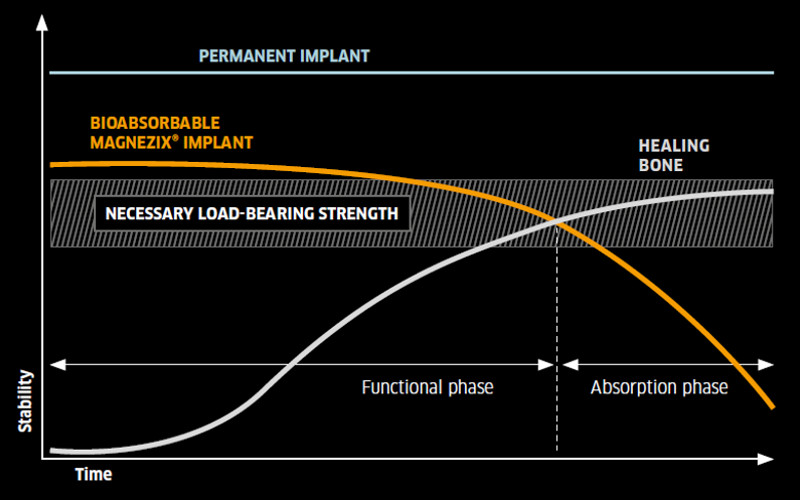The degradation behavior in relation to the load bearing capacity of the bone.